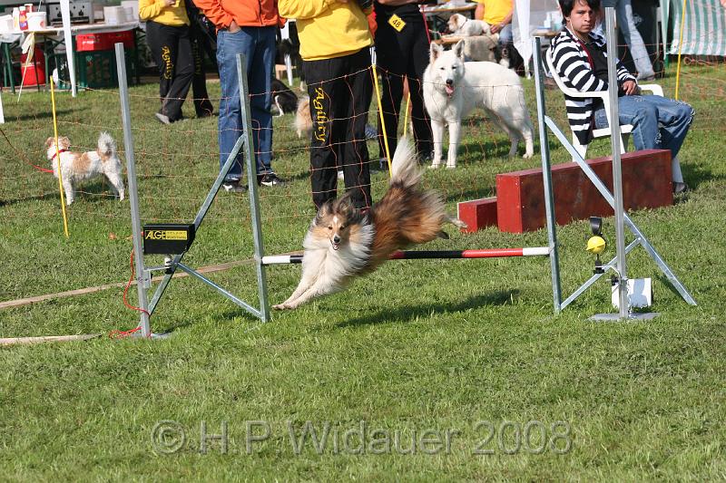 jubil.lusten. 186.jpg